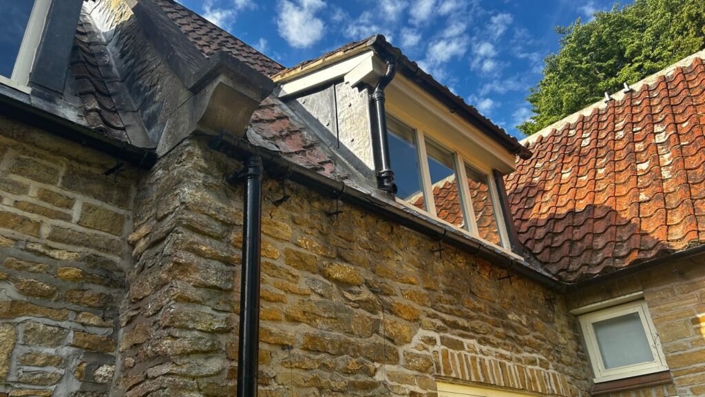 Wasp-Nest-North-Cave - Beverley Pest Control Wasp