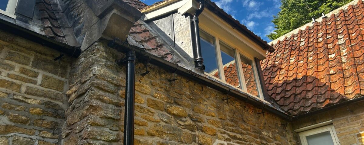 Wasp-Nest-North-Cave - Beverley Pest Control